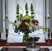 flower_photo_directory flower_photo_directory